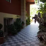 Violeta 7 4*