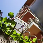 Violeta 7