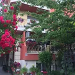 Pensjonat Violeta 7