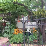 Pensjonat Violeta 7 4*