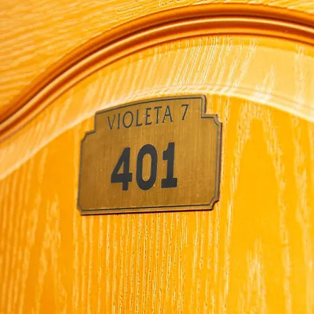 Violeta 7 招待所 内塞伯尔