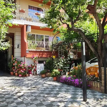 Violeta 7 4* 内塞伯尔