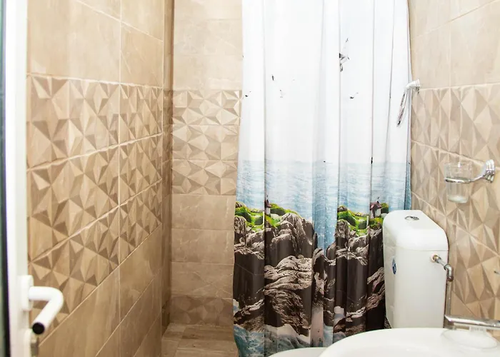 招待所 Violeta 7 内塞伯尔