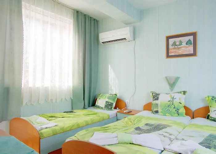 Violeta 7 4* 内塞伯尔