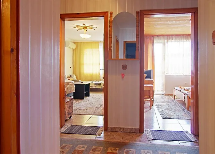 Violeta 7 招待所 4*