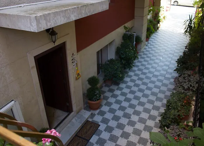 Violeta 7 招待所 内塞伯尔