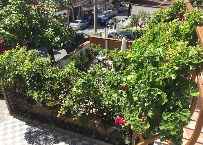 Violeta 7 4* 内塞伯尔