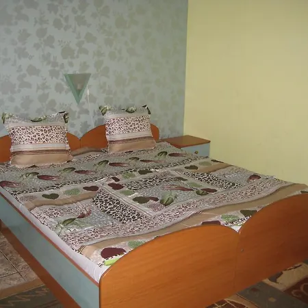 Гостевой дом Violeta 7 4*