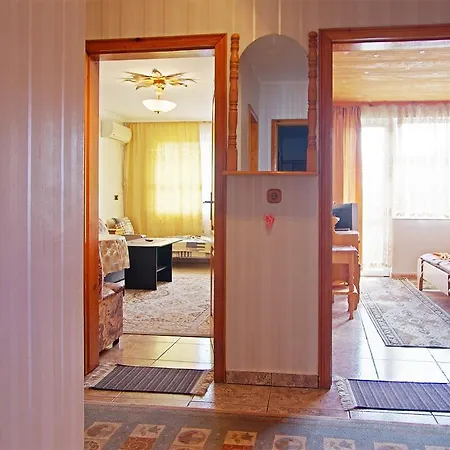 Violeta 7 Гостевой дом 4*