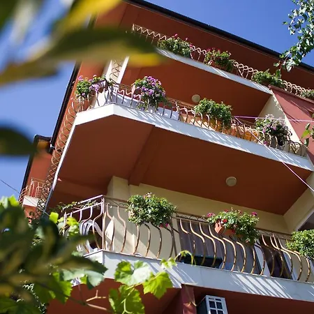 Гостевой дом Violeta 7 Несебр