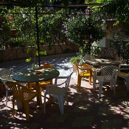 Violeta 7 4* Несебр