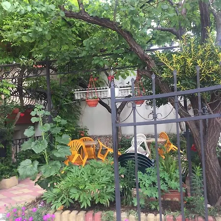 Πανσιόν Violeta 7 4*