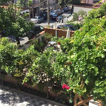 Violeta 7 * Nessebar