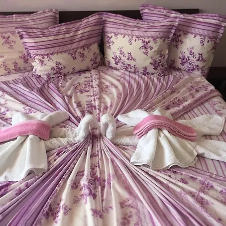 Πανσιόν Violeta 7 Νεσέμπαρ