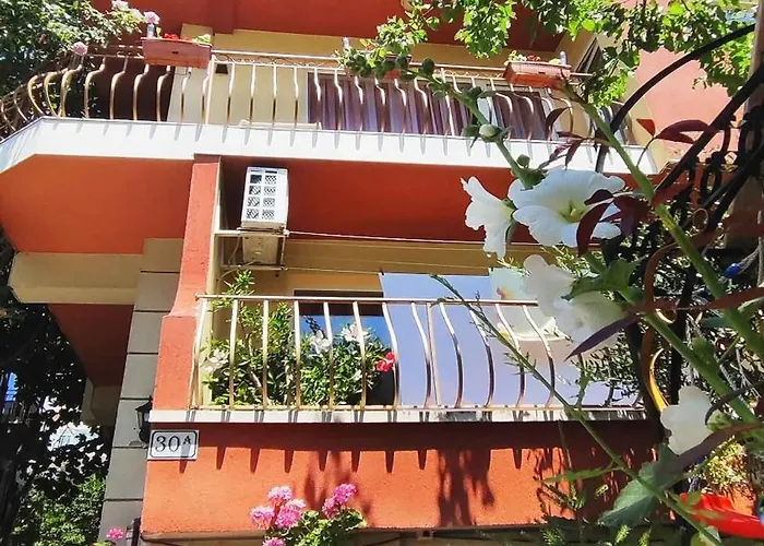 Violeta 7 Casa de hóspedes