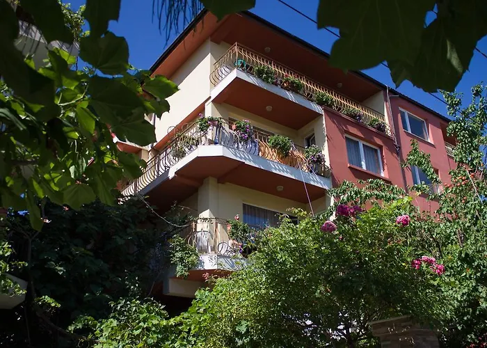 Violeta 7 Casa de hóspedes 4*