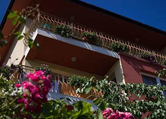 Casa de hóspedes Violeta 7