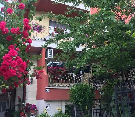 Casa de hóspedes Violeta 7